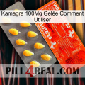 Kamagra 100Mg Gelée Comment Utiliser new01